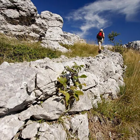 In Kod Senja 27140 Апартаменты *